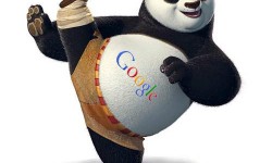 Google Panda Update